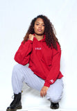 BVLLY/AR-MENS SWEATER SMALL LOGO-Red/Black